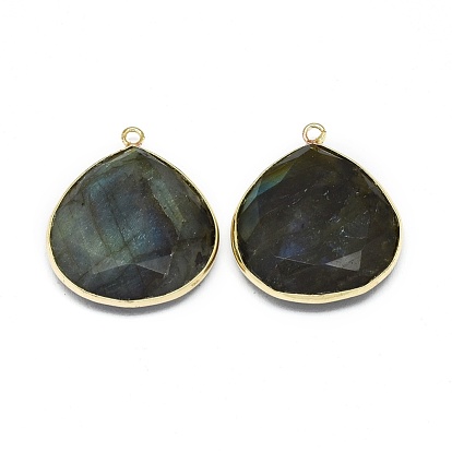 Natural Labradorite Pendants, with Brass Findings, Faceted, Drop