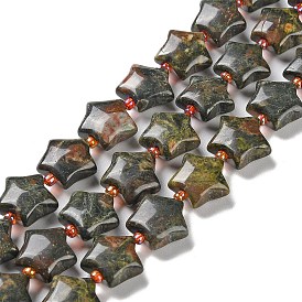 Natural Dragon Blood Jasper Beads Strands, with Seed Beads, Puffed Star