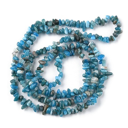 Natural Apatite Beads Strands, Chip
