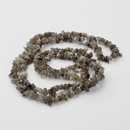 Natural Labradorite Chips Beads Strands, 5~8mm, Hole: 0.3mm, about 32~32.5 inch