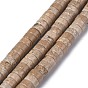 Perles naturelles fossiles brins, perles heishi, Plat rond / disque