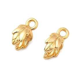 Латуни льда поручительств выбор щепотка, лист, без никеля , долговечный