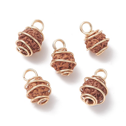 Natural Rudraksha Copper Wire Wrapped Pendants, Barrel Charms, Undyed