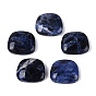 Natural Sodalite Cabochons, Trapezoid, Flat Back