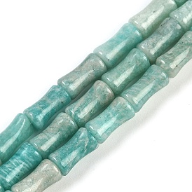 Natural Amazonite Beads Strands, Bamboo Joint