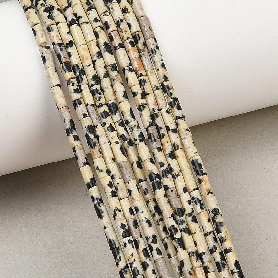 Natural Dalmatian Jasper Beads Strands, Column
