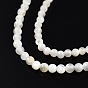 Natural White Shell Beads Strands, Round