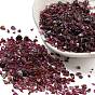 Natural Garnet Chip Beads, Tumbled Stone, No Hole/Undrilled