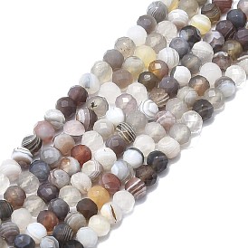 Natural Botswana Agate Beads Strands, Faceted, Rondelle