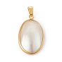 Natural Shell Pendants, Oval Charms, with Rack Plating Brass Findings