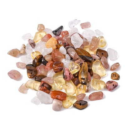 60G 6 Style Natural Stones Beads, Natural South Red Agate, Citrine, Tiger Eye, Quartz Crystal, Strawberry Quartz, Rhodonite, Chip