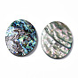 Natural Abalone Shell/Paua Shell Cabochons, with Freshwater Shell, Oval