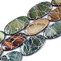 Freshwater Shell Beads Strands, Dyed and Drawbench, Oval