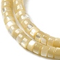 Natural Trochus Shell Beads Strands, Disc, Heishi Beads