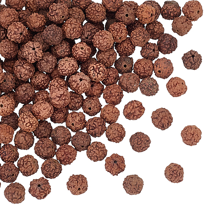 180Pcs Undyed Natural Rudraksha Beads, Round