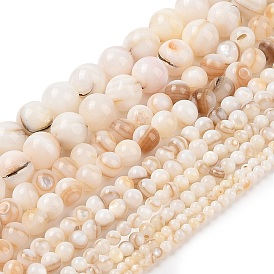 Natural Freshwater Shell Beads Strands, Round