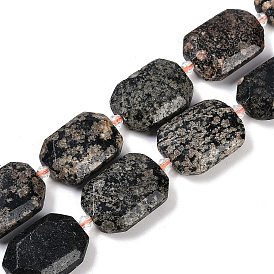 Natural Snowflake Obsidian Beads Strands, Faceted, Rectangle, with Seed Beads