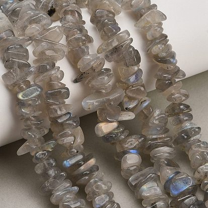 Natural Labradorite Beads Strands, Chip