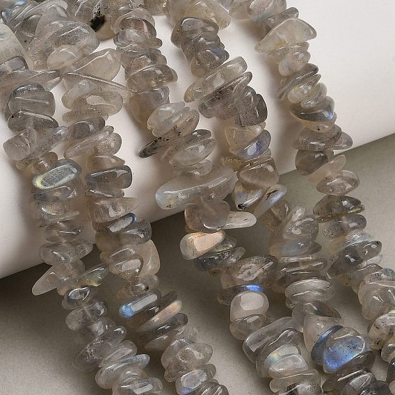 Natural Labradorite Beads Strands, Chip