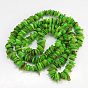 Natural Shell Beads Strands, Dyed, Chips, 6~15x3~7x1~3mm, Hole: 1mm