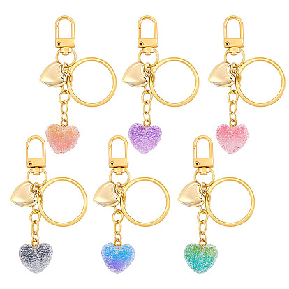 6Pcs 6 Colors Transparent Resin with 304 Stainless Steel Heart Pendant Keychain, with Alloy Split Key Rings and Swivel Clasps