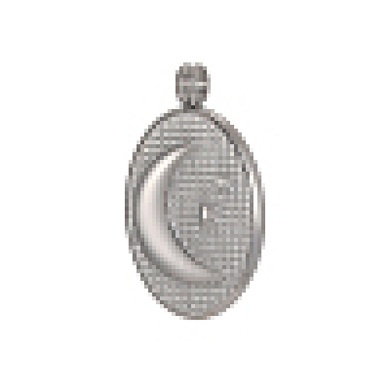 304 подвески из нержавеющей стали, , овальный с подвесками в виде луны