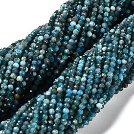 Природного апатита нитей бисера, граненые круглые