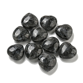 Natural Larvikite Beads, Half Drilled, Heart
