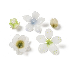 Opaque Acrylic Bead Caps, 5-Petal Flower