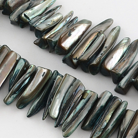 Erose coquille naturelle brins de perles, teint, 20~40x4~8x4~7mm, trou: 1mm, environ 70 pcs/chapelet