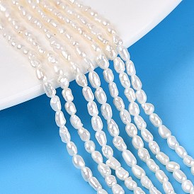 Natural Cultured Freshwater Pearl Beads Strands, Two Sides Polished