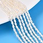 Natural Cultured Freshwater Pearl Beads Strands, Two Sides Polished