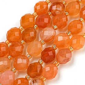 Natural Orange Botswana Agate Beads Strands, Faceted, Oval, with Seed Beads