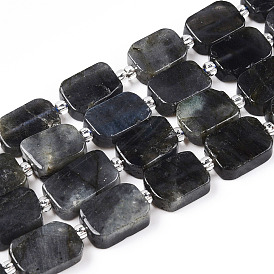 Natural Larvikite Beads Strands, with Seed Beads, Rectangle