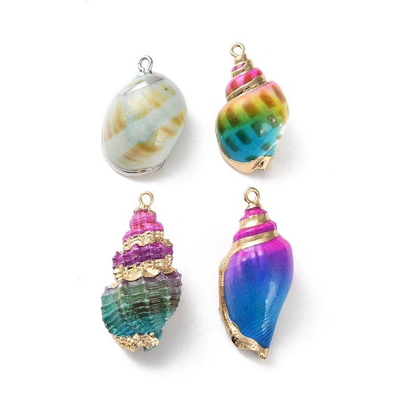 Раковины подвески, с латунным краем, окрашеные