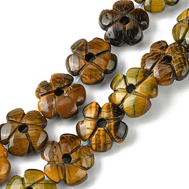 Natural Tiger Eye Beads Strands, Flower