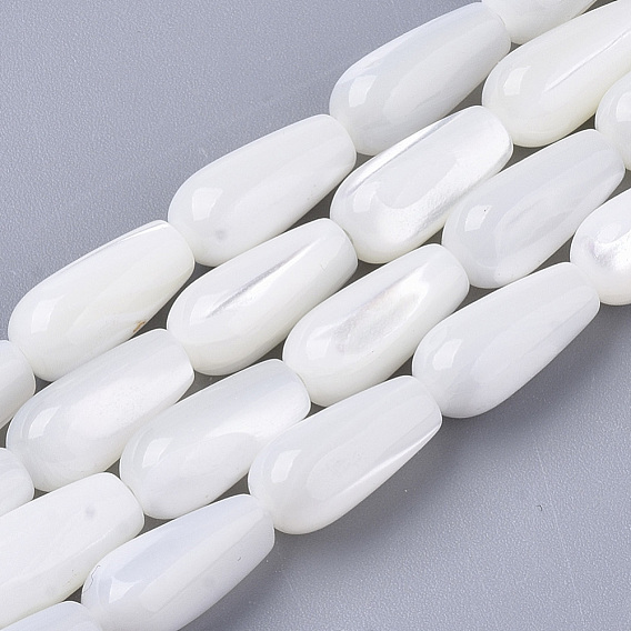 Natural Trochid Shell/Trochus Shell Beads Strands, Teardrop