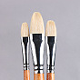 Painting Brush Set, Bristles Brush Head with Wooden Handle and Aluminium Tube, for Watercolor Painting Artist Professional Painting