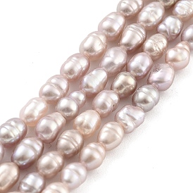 Natural Cultured Freshwater Pearl Beads Strands, Rice