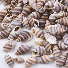 Perles de coquillage en spirale naturelle, coquille de turritella, perles non percées / sans trou