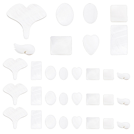 48pcs 8 cabochons de coquillages d'eau douce naturels de style, coeur & feuille de ginkgo & aile & carré & rectangle & ovale & rectangle