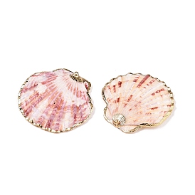 Natural Scallop Shell Big Pendants, Shell Shaped Charms with Golden Tone Iron Loops