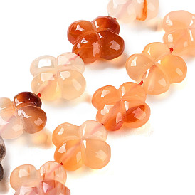 Natural Agate Beads Strands, 4-Petal Flower