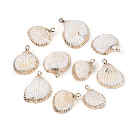 Подвески из натуральных морских ракушек, покрытые гальваническим способом, подвески в форме ракушек с золотистыми железными петлями