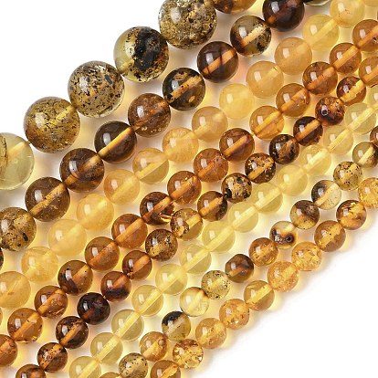 Янтарные шарики нити, круглые