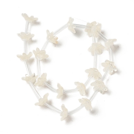 Tapas de cuentas de concha blanca natural, 6-pétalo, flor