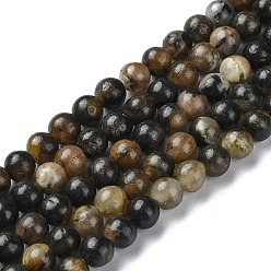 Natural Chiastolite Beads Strands, Round