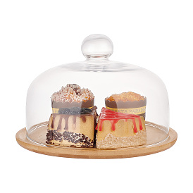 Glass Dome, Cake Decorative Display Case, Cloche Bell Jar Terrarium with Wood Base
