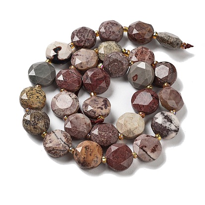 Natural America Picture Jasper Beads Strands, with Seed Beads, Faceted Hexagonal Cut, Flat Round