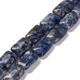 Natural Blue Spot Jasper Beads Strands, Rectangle